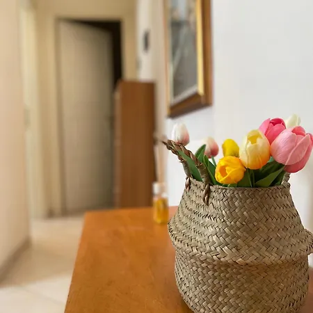 아파트 Casa Elena - Centro 디아노마리나