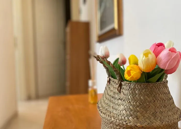 Apartman Casa Elena - Centro Diano Marina