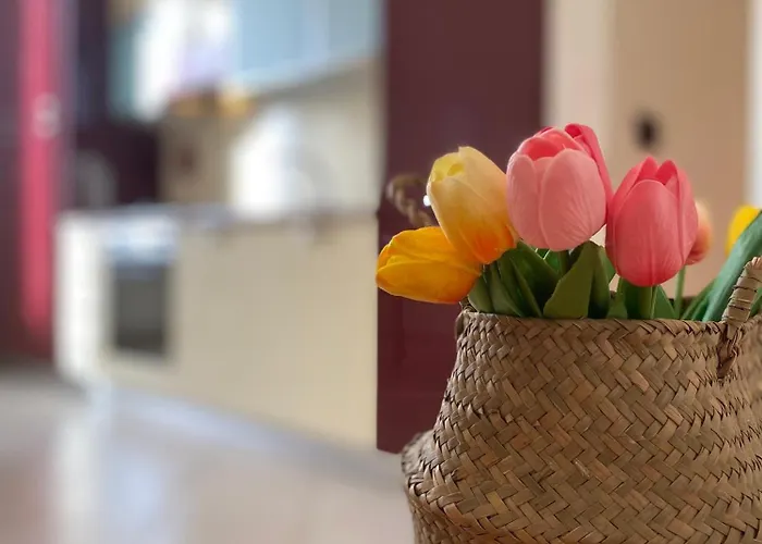 Casa Elena - Centro Apartman