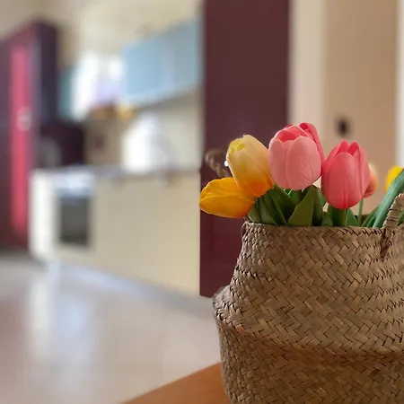 Casa Elena - Centro דירה